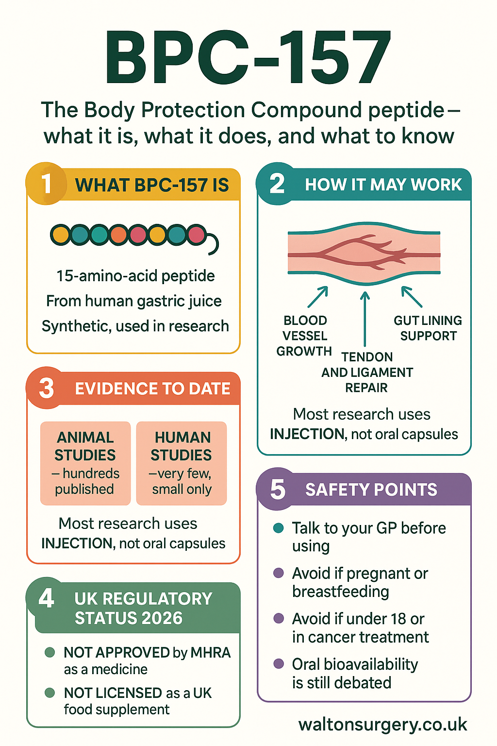 BPC-157 infographic: what the peptide is, how it may work, evidence to date, UK regulatory status 2026, and safety points