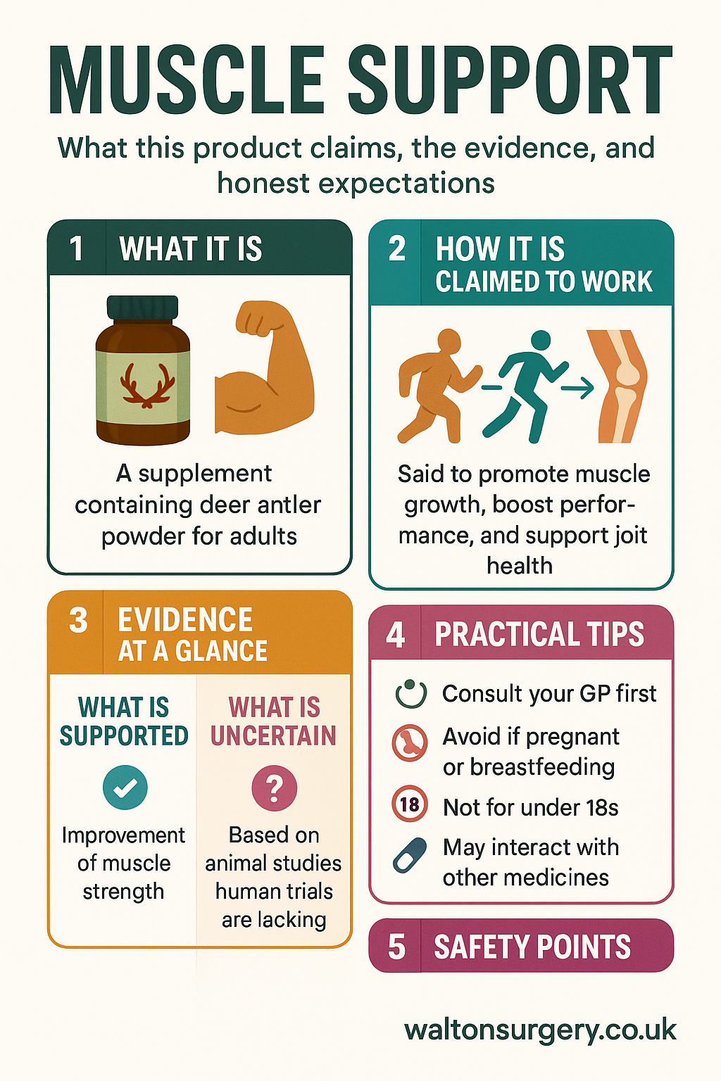 Muscle Support infographic