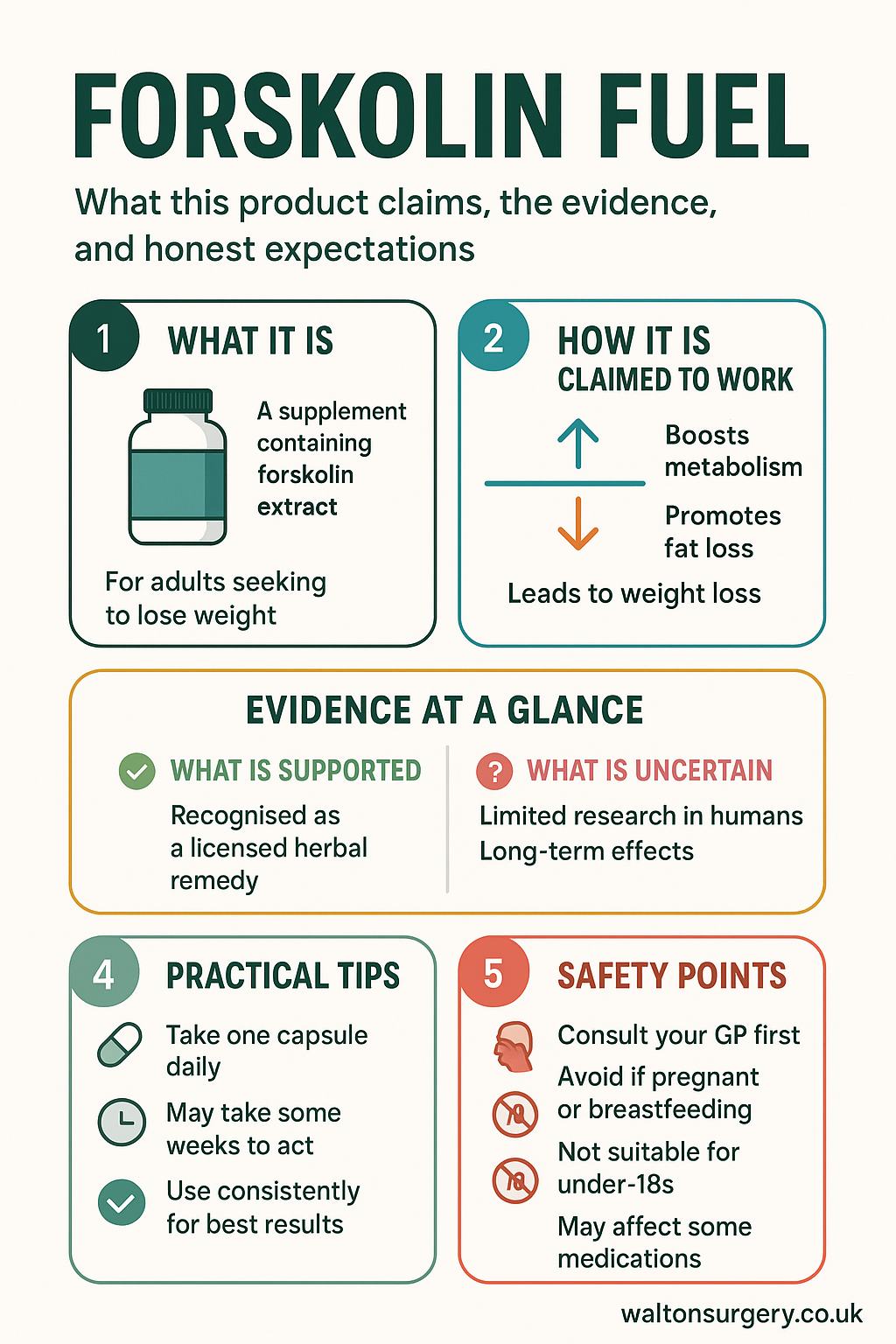 Forskolin Fuel infographic