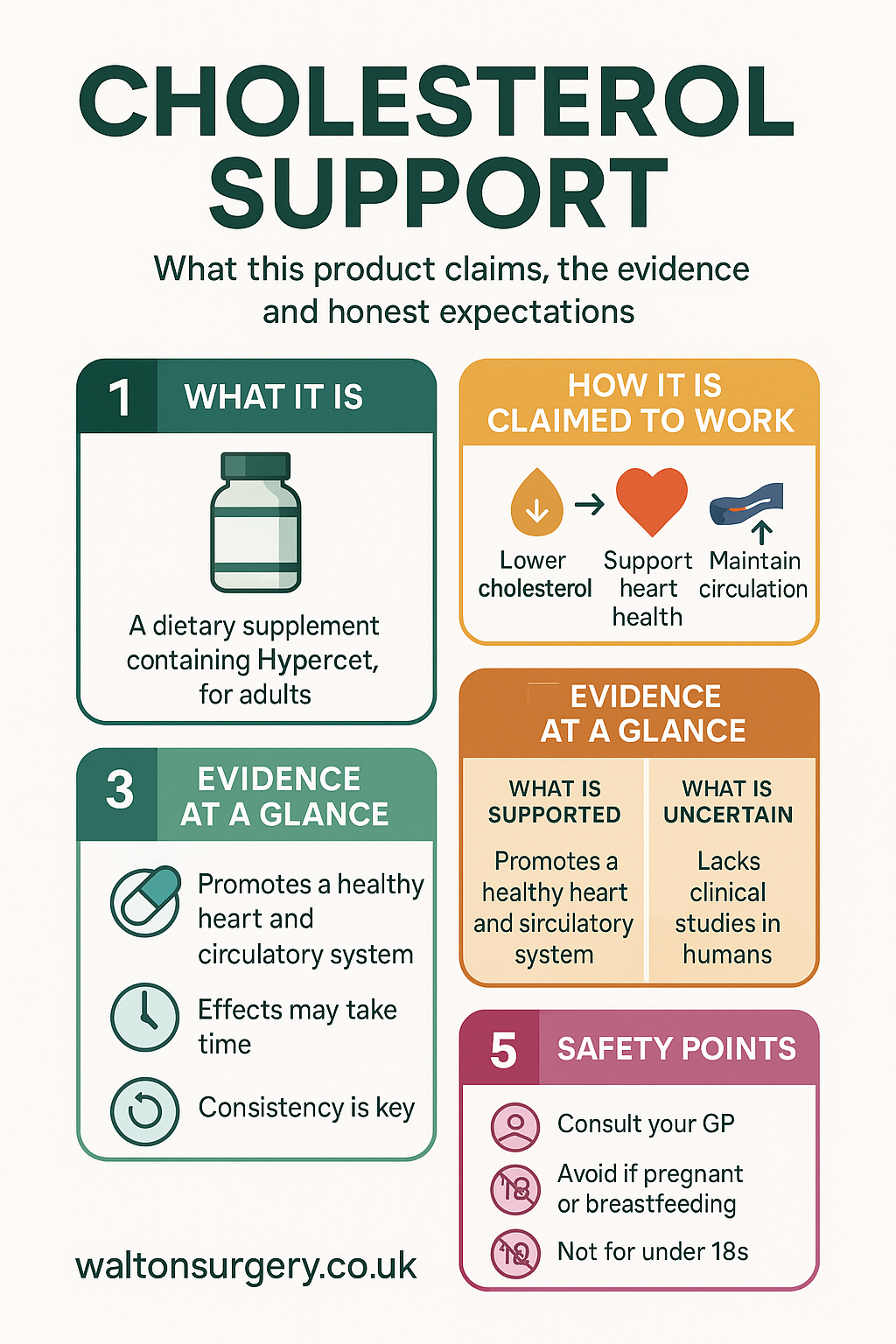 Cholesterol Support infographic