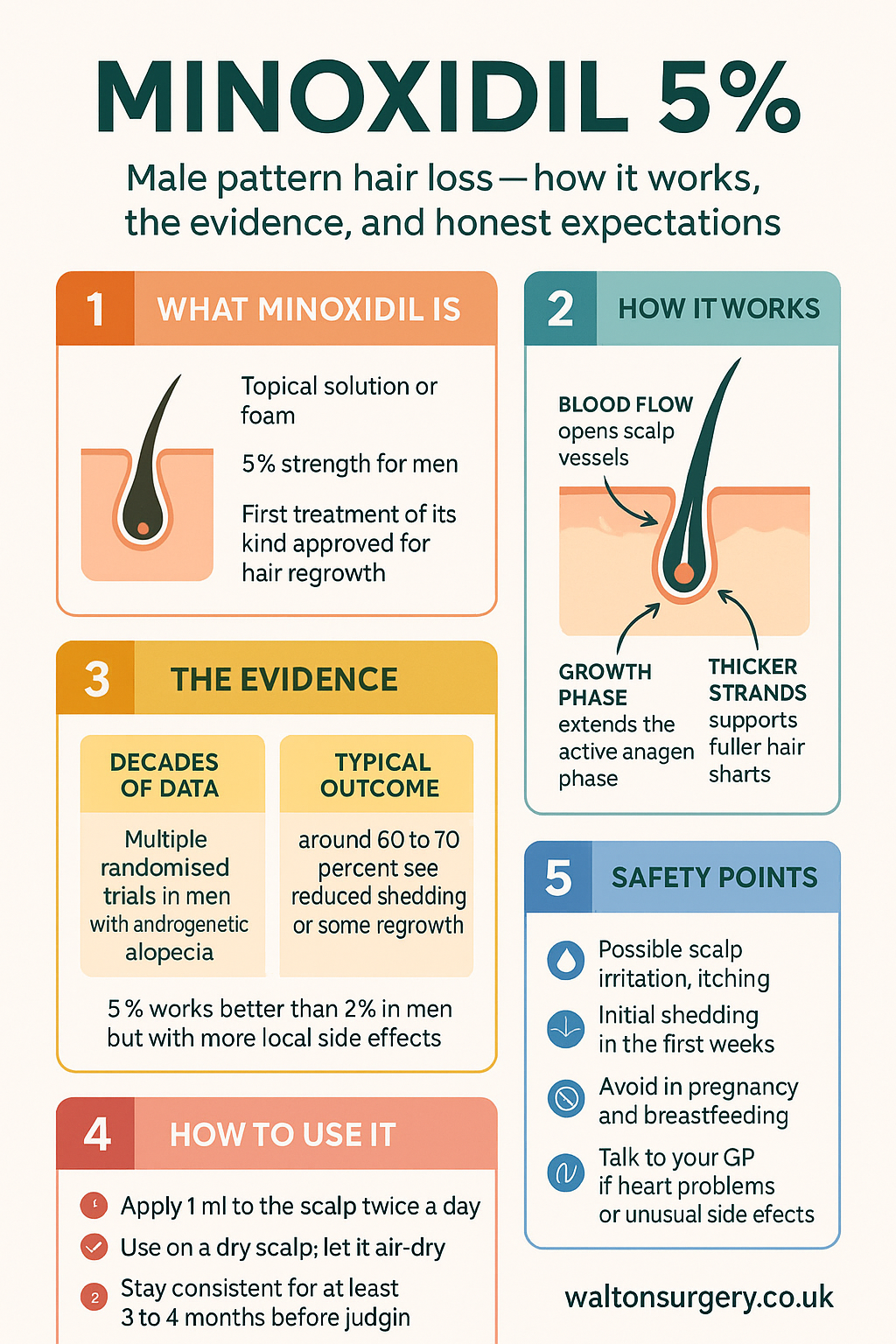 Minoxidil 5% infographic: what it is, how it works, the evidence, how to use it, and safety points