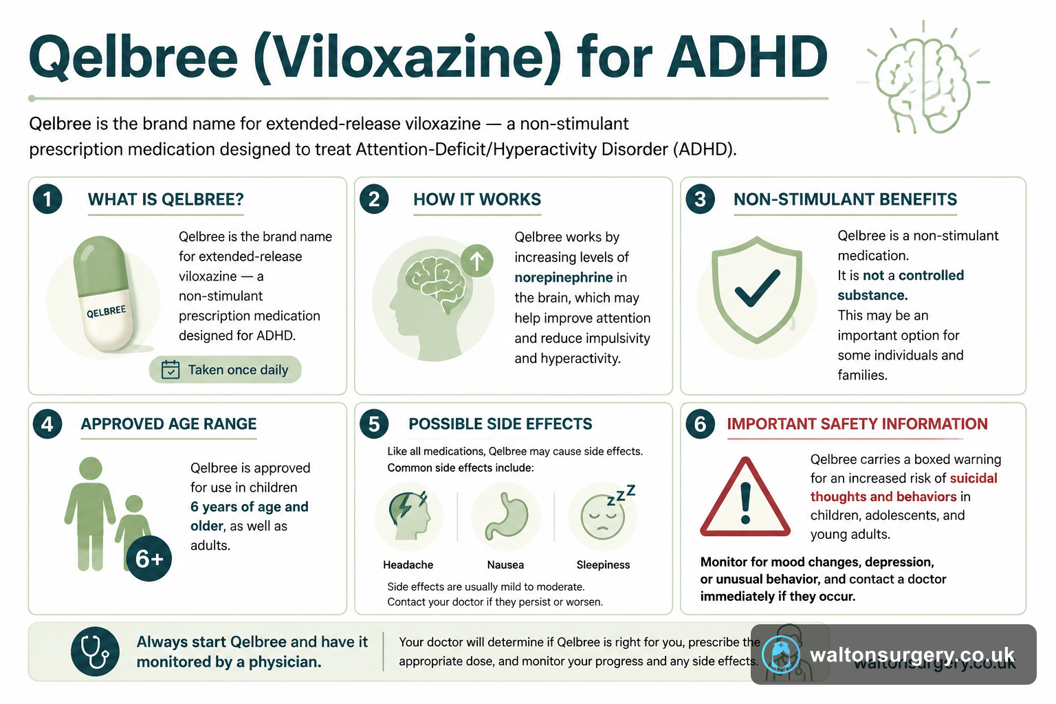 Qelbree (Viloxazine) for ADHD: How It Works, Uses and Side Effects
