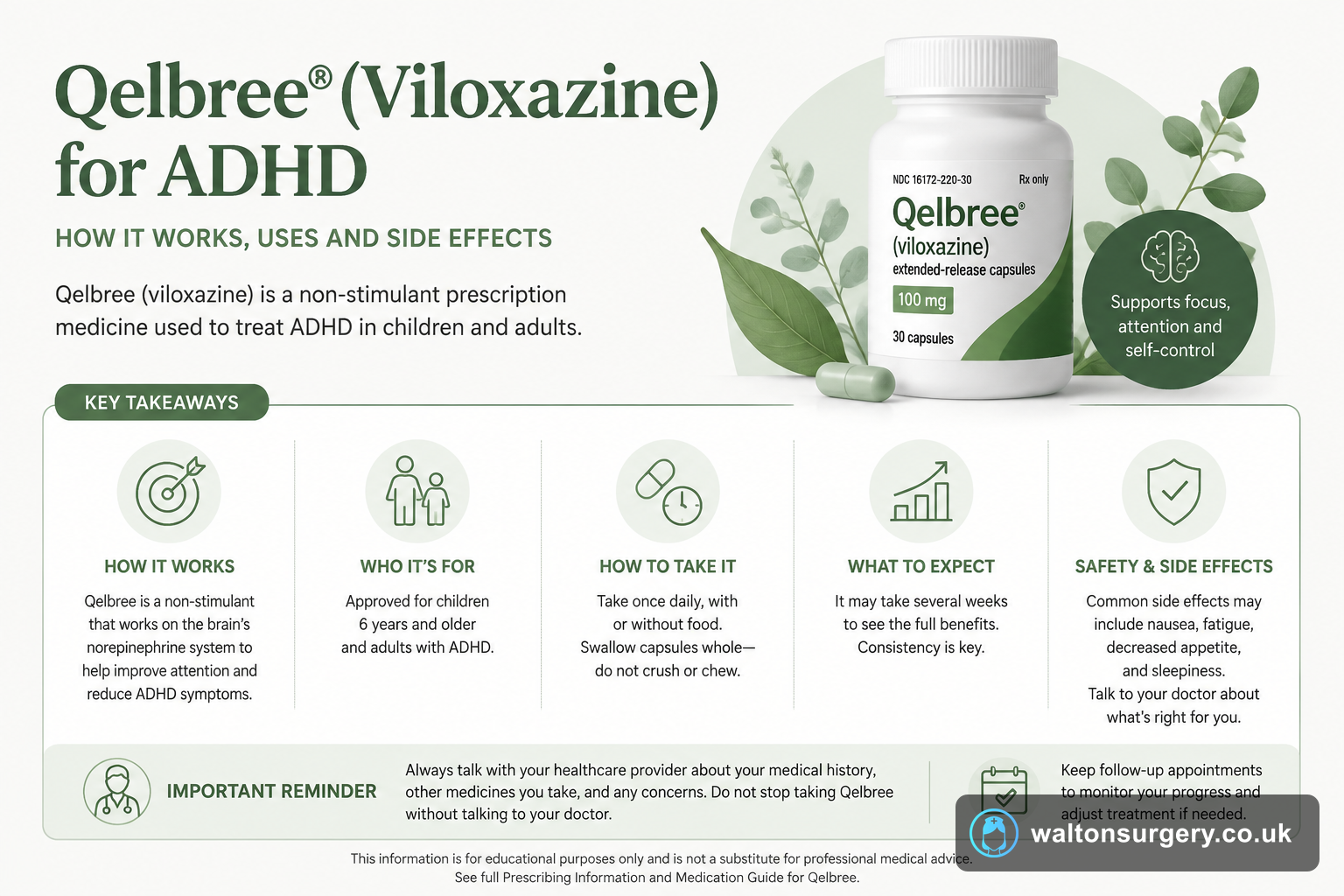 Qelbree (Viloxazine) for ADHD: How It Works, Uses and Side Effects