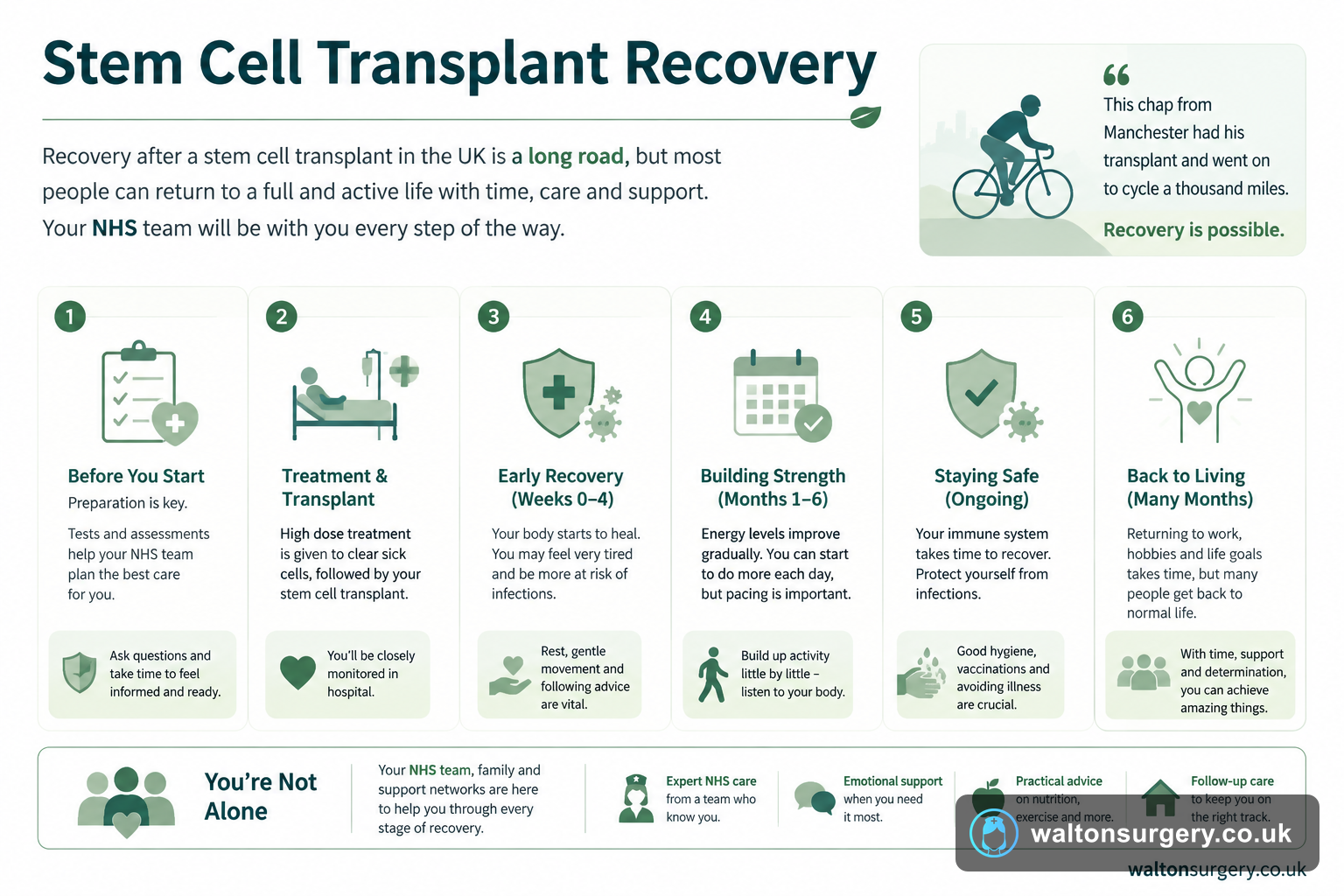Stem Cell Transplant Recovery: Understanding the Journey Back to Health