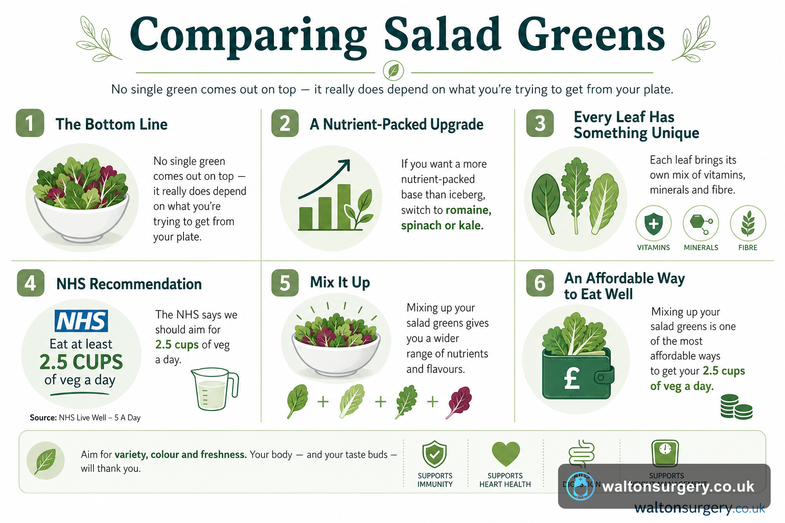 Comparing Salad Greens: Which Leafy Greens Are Healthiest?