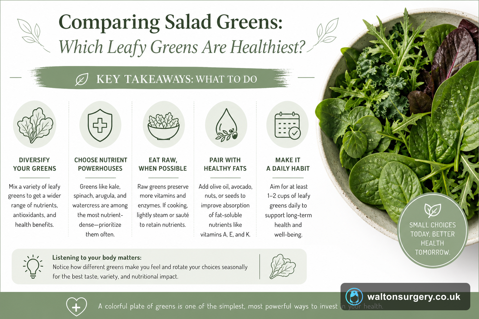 Comparing Salad Greens: Which Leafy Greens Are Healthiest?