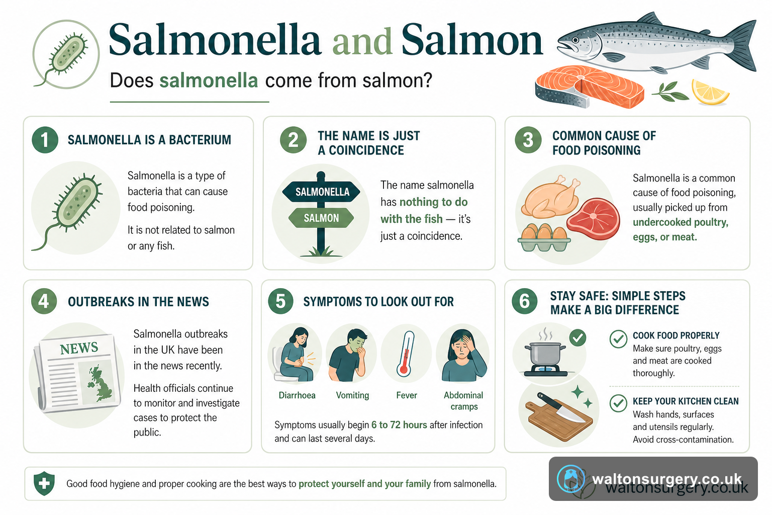 Salmonella and Salmon: Understanding the Food Poisoning Bacteria