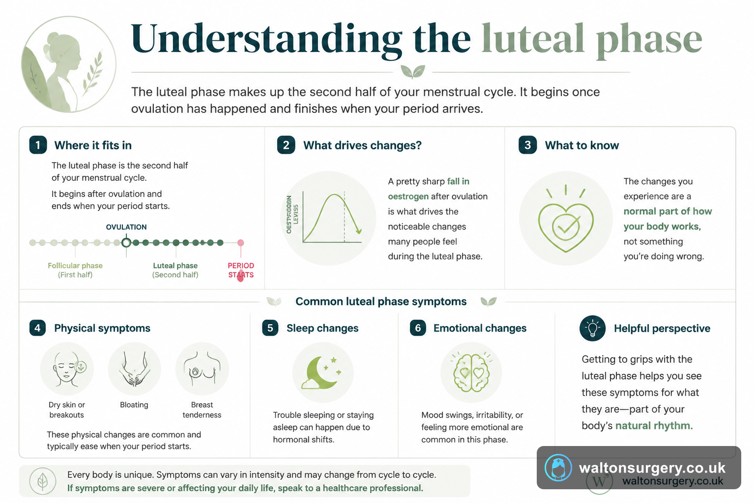 Understanding the luteal phase: symptoms and what to expect