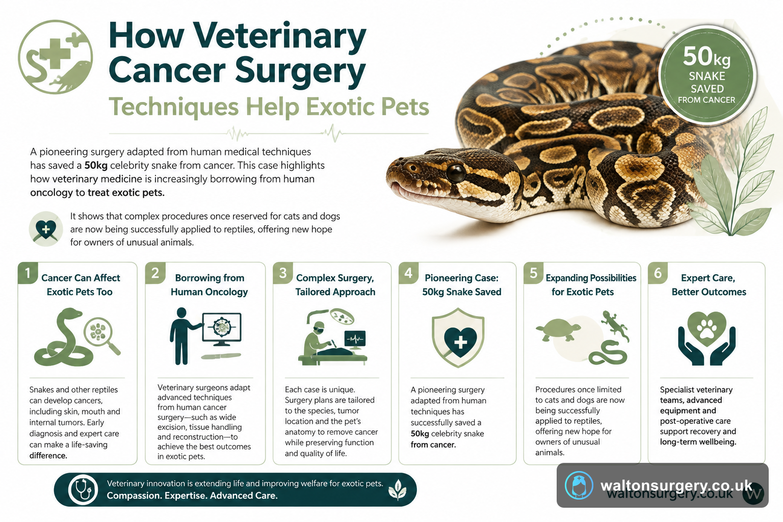 How Veterinary Cancer Surgery Techniques Help Exotic Pets