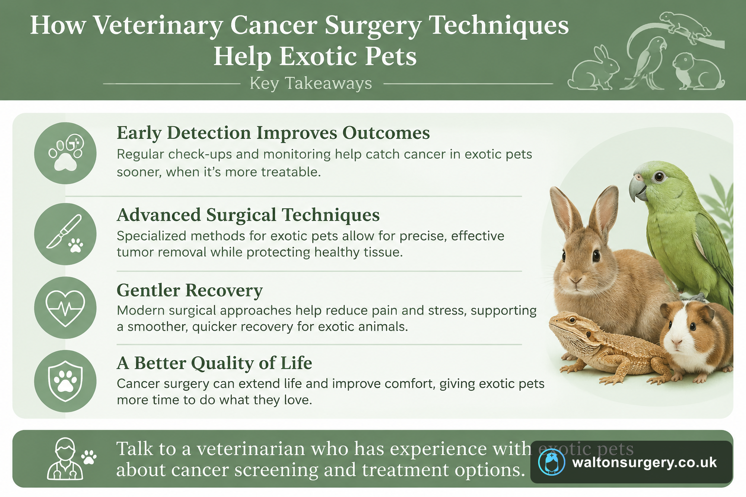How Veterinary Cancer Surgery Techniques Help Exotic Pets