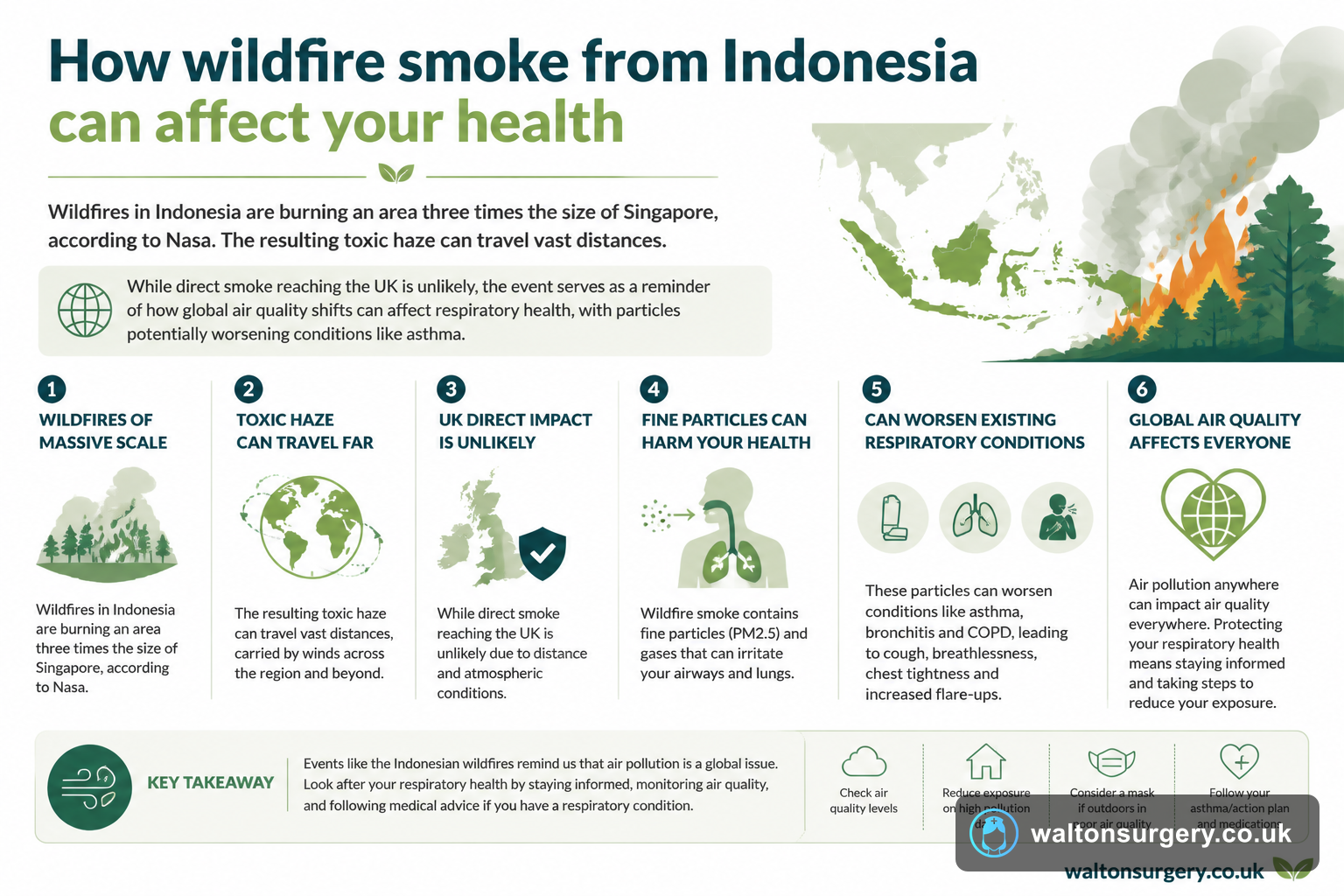 How wildfire smoke from Indonesia can affect your health