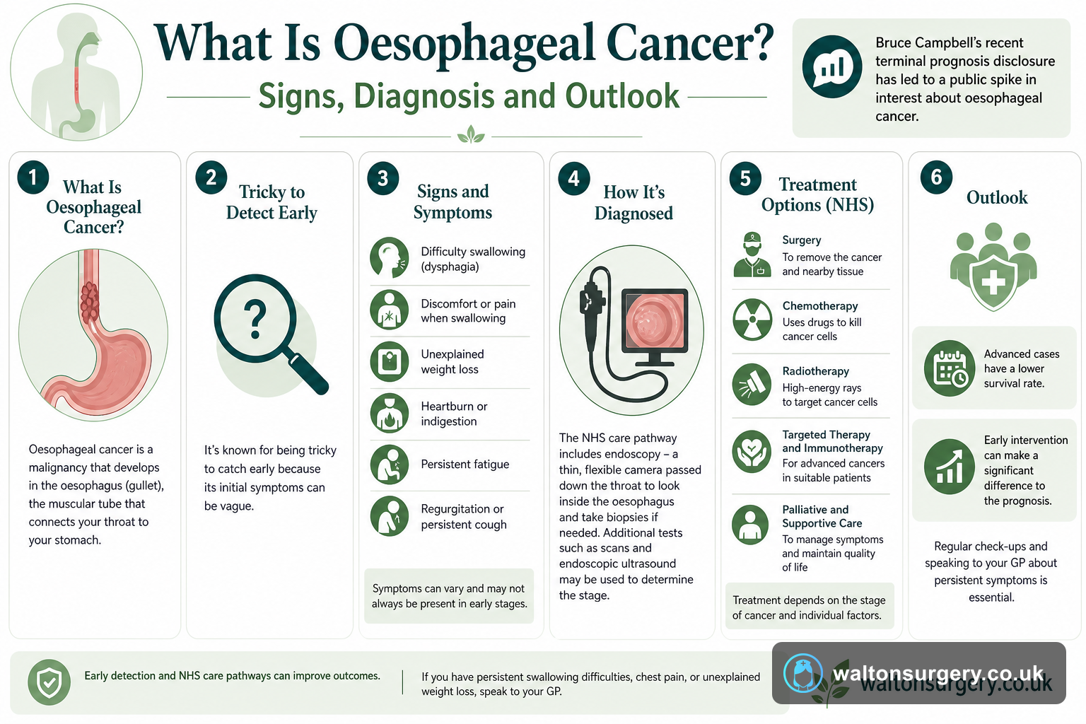 What Is Oesophageal Cancer? Signs, Diagnosis and Outlook