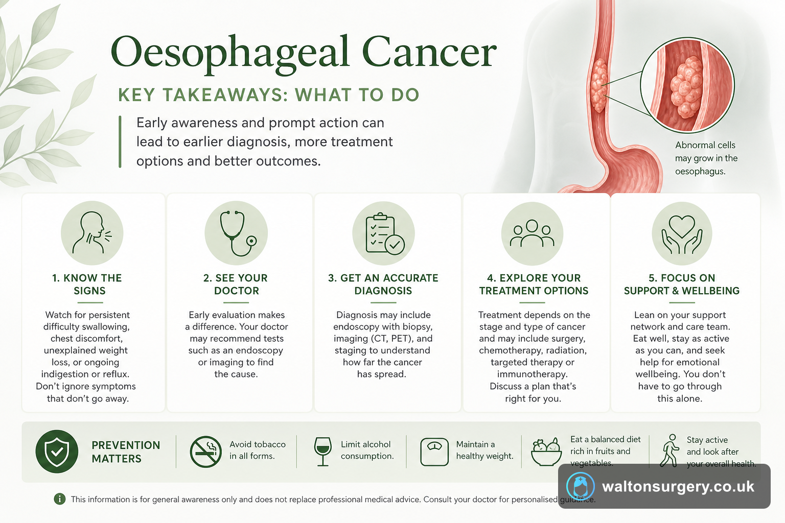 What Is Oesophageal Cancer? Signs, Diagnosis and Outlook