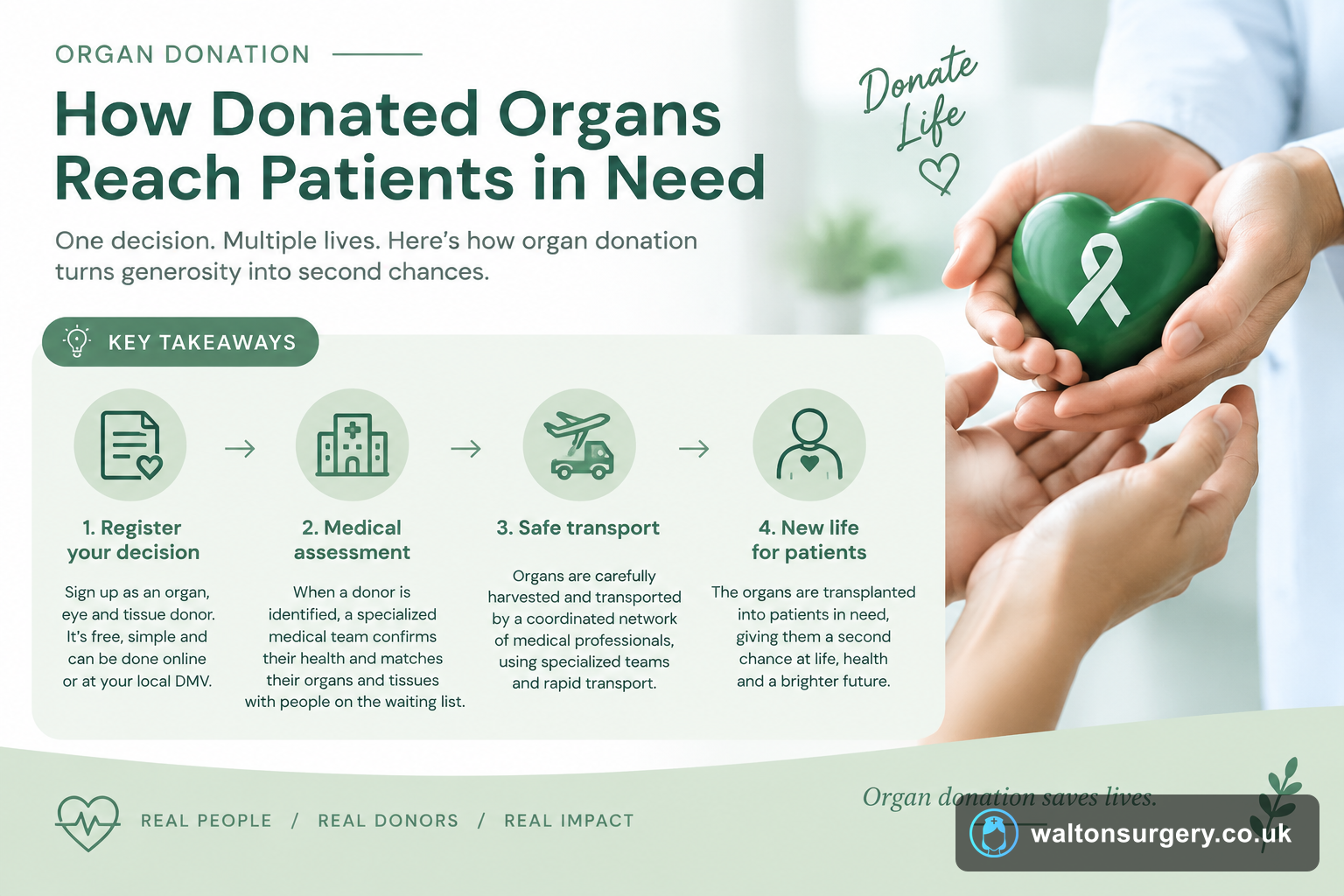 Organ Donation: How Donated Organs Reach Patients in Need