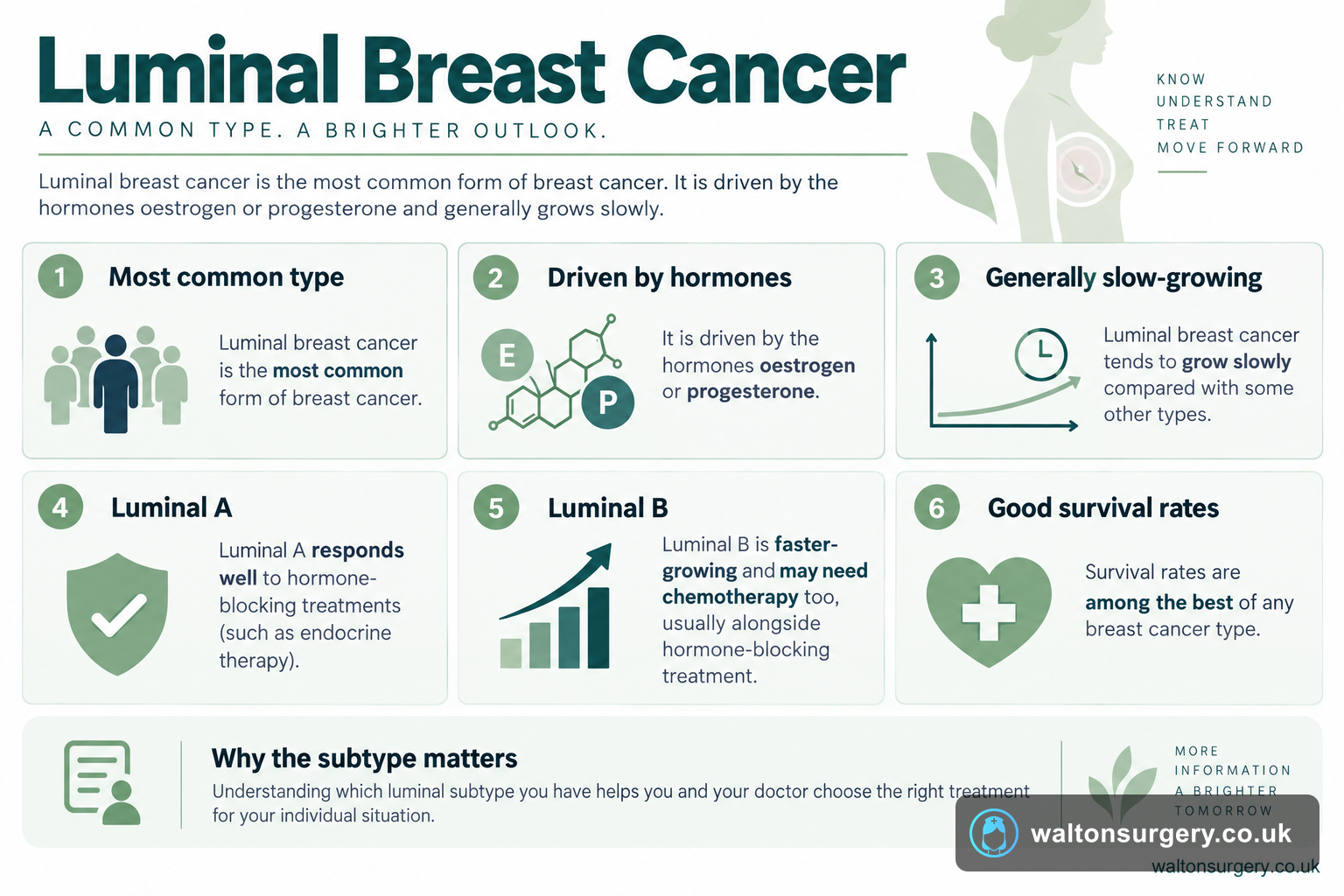 Luminal Breast Cancer: Types, Treatment and Outlook